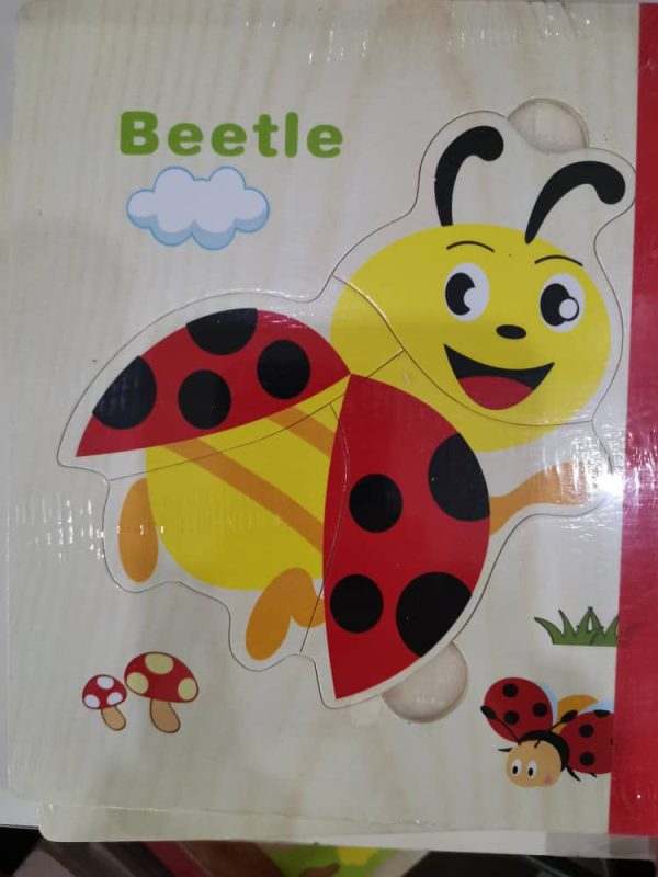 جورچین کتابی چوبی(حشرات)