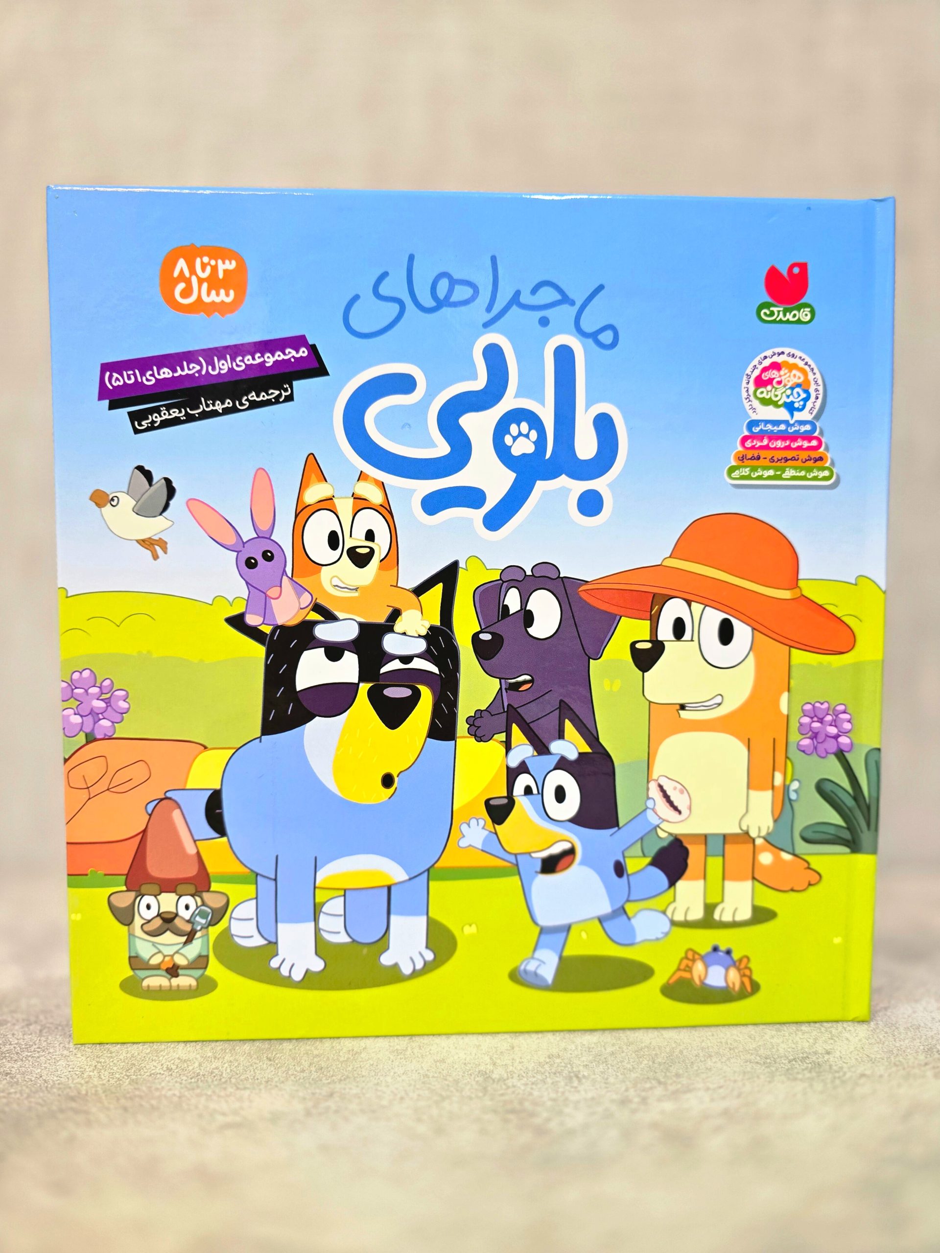 ماجراهای آموزشی بلویی جلد 1 تا 5