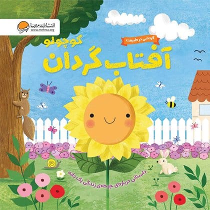 آفتاب گردان کوچولو( چرخه رشد گیاه)